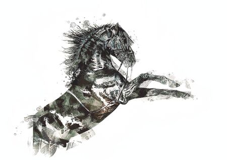 freehand horse head pencil drawing illustrator grungeの写真素材