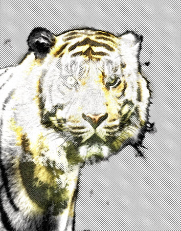 tiger art illustration color vintage grunge retroの写真素材