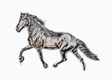 Colorful horse art illustration grunge painting
