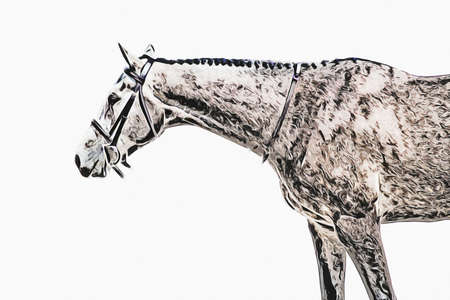 Colorful horse art illustration grunge paintingの写真素材