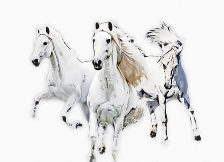 Colorful horse art illustration grunge paintingの写真素材