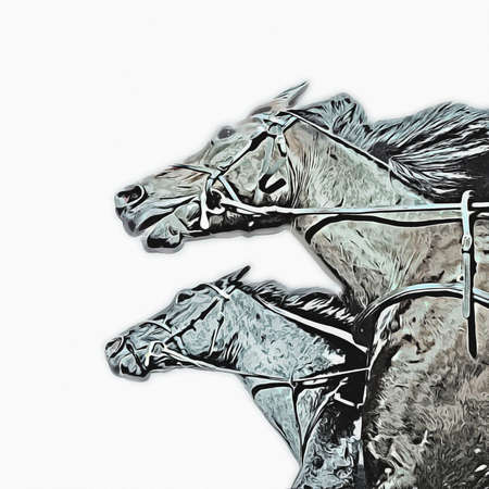 Colorful horse art illustration grunge paintingの写真素材