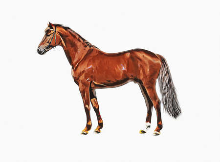 Colorful horse art illustration grunge paintingの写真素材