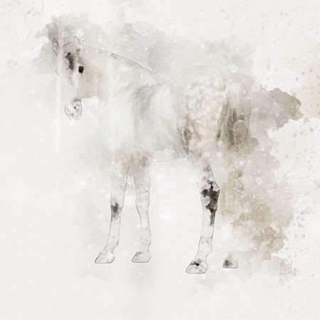 Colorful horse art illustration grunge paintingの写真素材