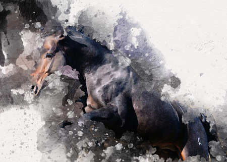Colorful horse art illustration grunge paintingの写真素材