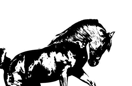 Colorful horse art illustration grunge paintingの写真素材
