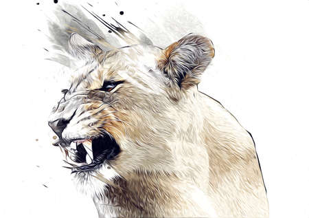 lion art illustration drawing grunge vintageの写真素材