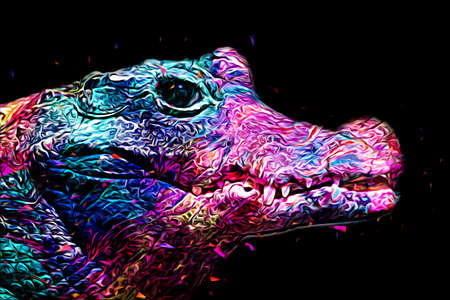 Drawing of crocodile - hand sketch of reptile, art illustrationの写真素材