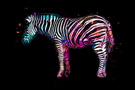 Drawing of Zebra, sketch of african mammal illustrationの写真素材