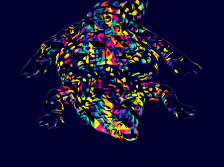Drawing of crocodile - hand sketch of reptile, art illustrationの写真素材