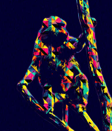 Realistic monkey on tree colorful illustration vintage drawingの写真素材