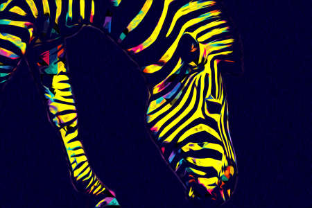 Drawing of Zebra, sketch of african mammal illustrationの写真素材