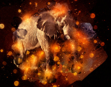 Elephant art illustration retro vintage oldの写真素材