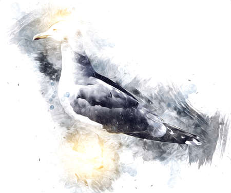 Atlantic white seabird fly at sky. Beach seagull. Sea birds, gull cartoon art illustrationの写真素材