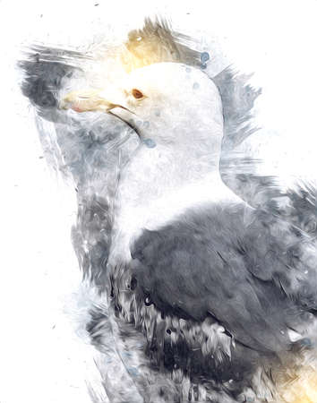 Atlantic white seabird fly at sky. Beach seagull. Sea birds, gull cartoon art illustrationの写真素材