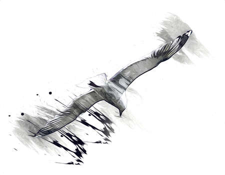 Atlantic white seabird fly at sky. Beach seagull. Sea birds, gull cartoon art illustrationの写真素材