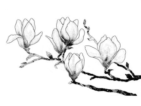 Vintage background with art illustration flower paintingの写真素材