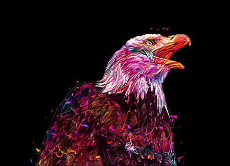 Bald eagle swoop landing hand draw and paint on white background illustrationの写真素材