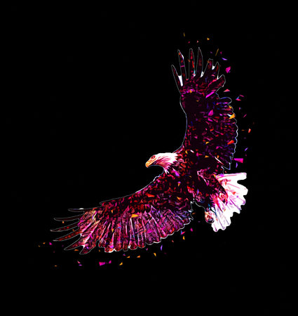 Bald eagle swoop landing hand draw and paint on white background illustrationの写真素材