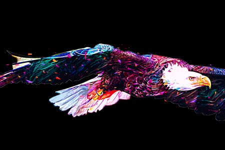 Bald eagle swoop landing hand draw and paint on white background illustrationの写真素材