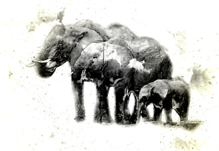 Elephant drawing from pencil art illustration