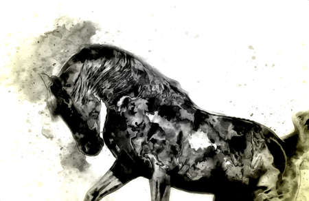 Colorful horse art illustration grunge paintingの写真素材