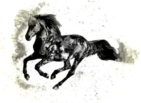 Colorful horse art illustration grunge paintingの写真素材