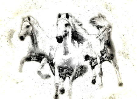 Colorful horse art illustration grunge paintingの写真素材