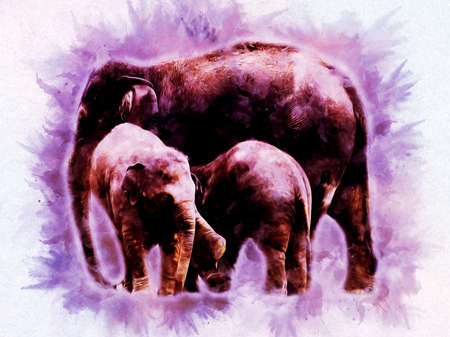 Elephant drawing from pencil art illustrationの写真素材