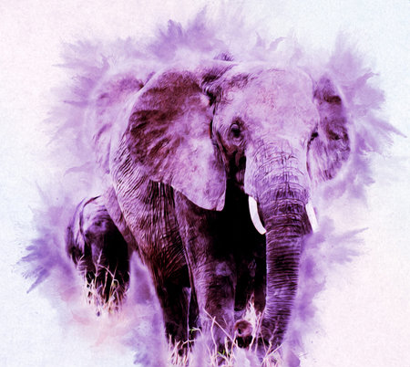 Elephant drawing from pencil art illustration
