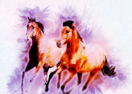 Colorful horse art illustration grunge paintingの写真素材