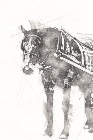 Colorful horse art illustration grunge paintingの写真素材