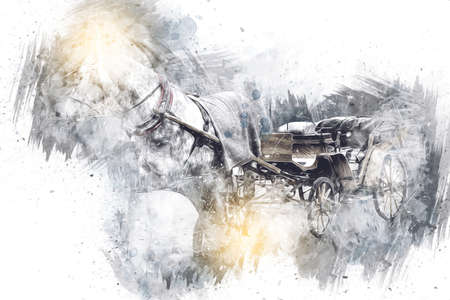 Colorful horse art illustration grunge paintingの写真素材