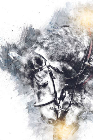 Colorful horse art illustration grunge paintingの写真素材