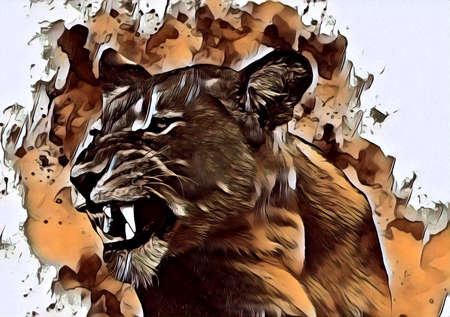 lion art illustration drawing painting retro vintage animalの写真素材