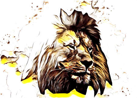 lion art illustration drawing painting retro vintage animalの写真素材