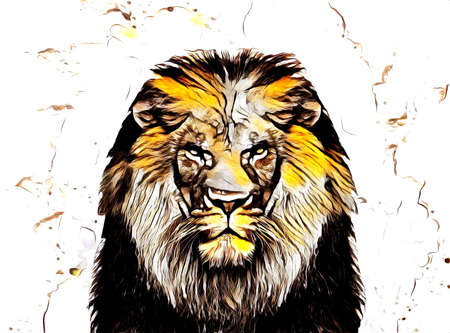 lion art illustration drawing painting retro vintage animalの写真素材