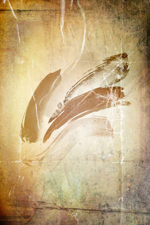 Abstract poster, contemporary minimalist backgrounds modern boho style. Mid century wall decor, art printの写真素材