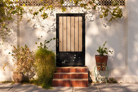 Arabic door entance.の写真素材