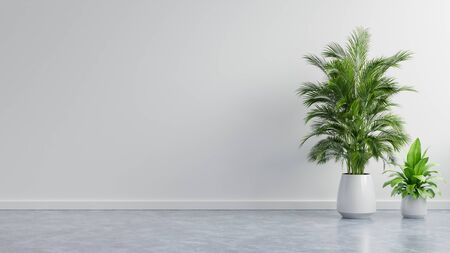 White wall empty room with plants on a floor,3D renderingの写真素材