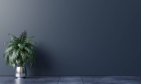 Dark wall empty room with plants on a floor,3D renderingの写真素材