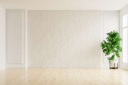 White plaster wall empty room with plants on a floor,3D renderingの写真素材