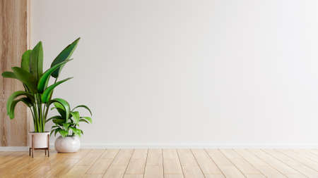 White wall empty room with plants on a floor,3D renderingの写真素材