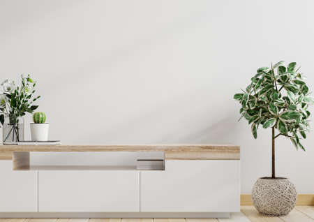 Mockup white wall with ornamental plants and decoration item on cabinet ,3d renderingの写真素材