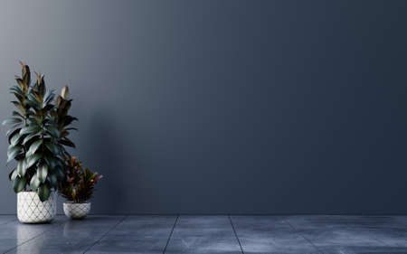 Dark wall empty room with plants on a floor,3D renderingの写真素材