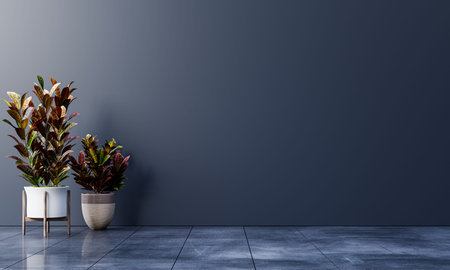 Dark wall empty room with plants on a floor,3D rendering