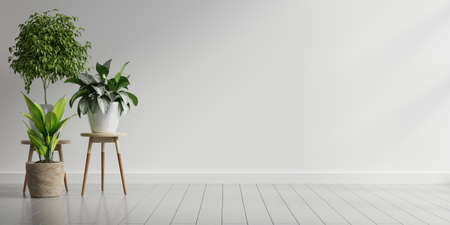 Empty white room interior with plant pot on a wooden floor.3D renderingの写真素材