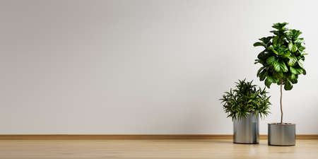 White empty room with plant in living room interior.3d renderingの写真素材