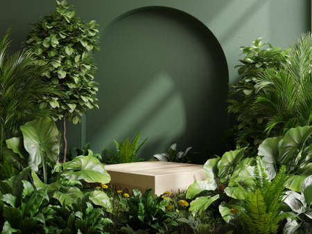 Wooden cube podium in tropical forest for product presentation and green background.3D renderingの写真素材