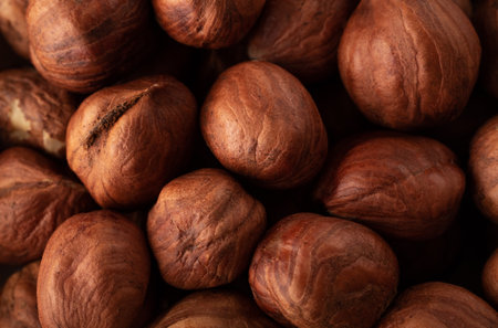 Delicious dried and peeled hazelnut kernels. Nuts macro, close up top view.の写真素材